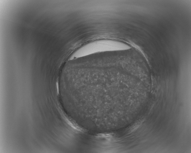 X0000058760061200510281929