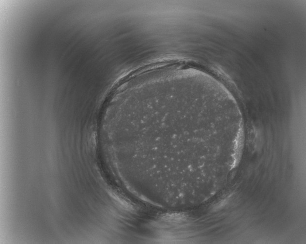 X0000058760063200510281929