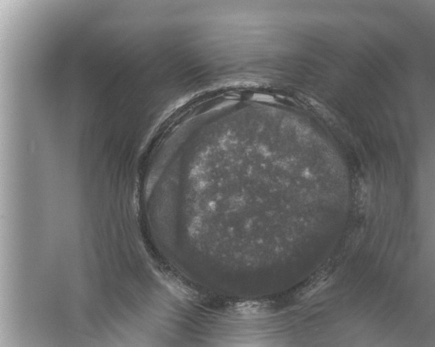 X0000058760064200510281929