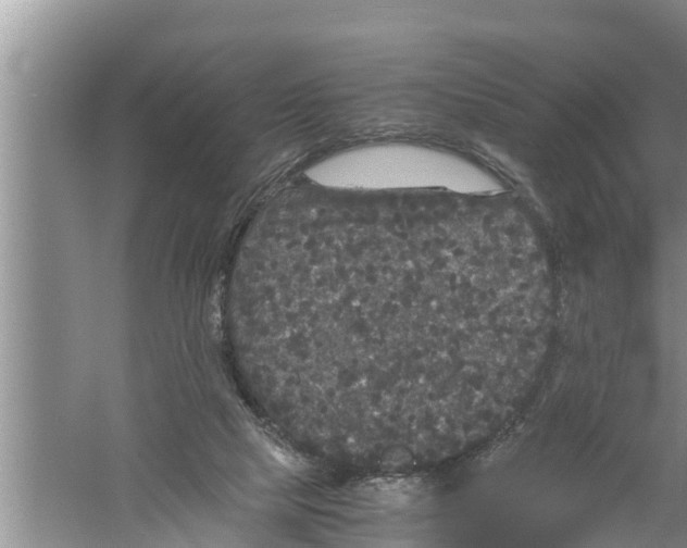 X0000058760065200510281929