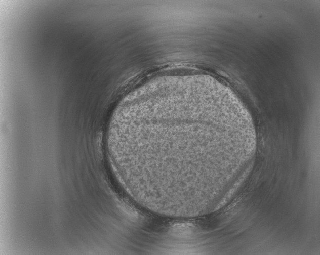 X0000058760066200510281929