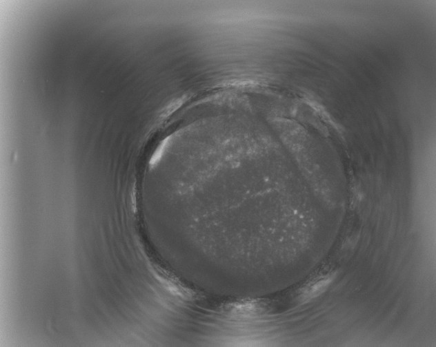 X0000058760068200510281929