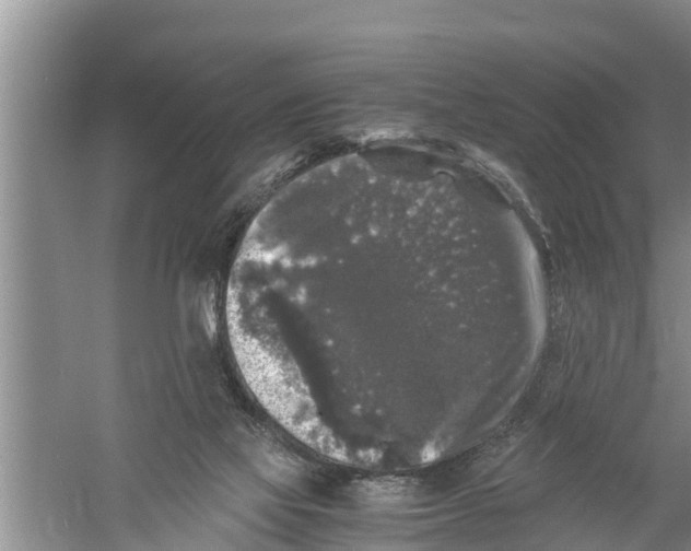 X0000058760069200510281929