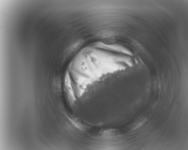 X0000058760072200510281929