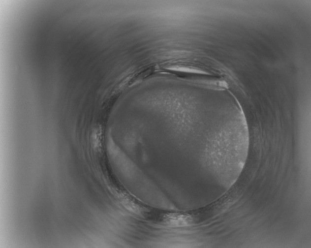 X0000058760073200510281929