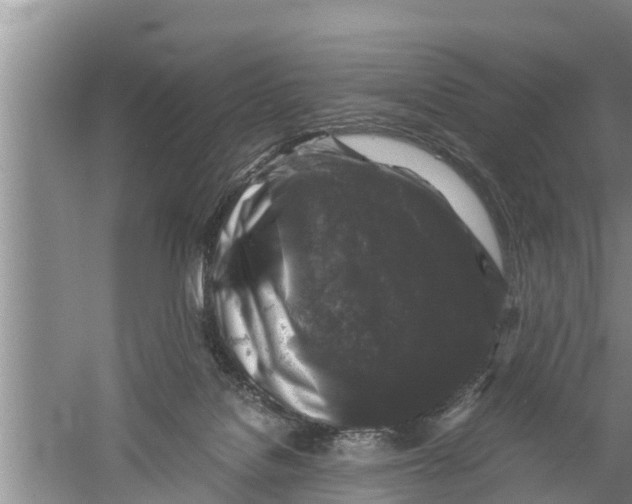 X0000058760076200510281929