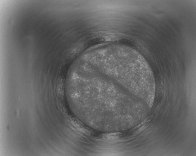 X0000058760078200510281929