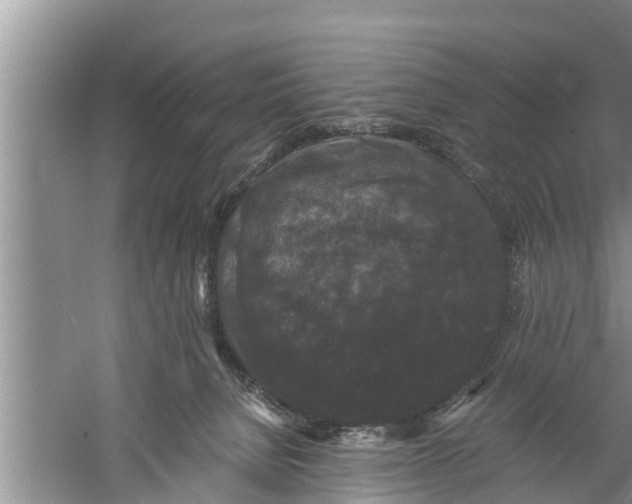 X0000058760080200510281929