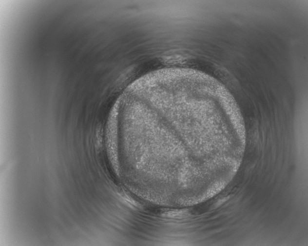 X0000058760081200510281929