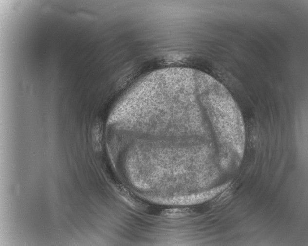 X0000058760082200510281929