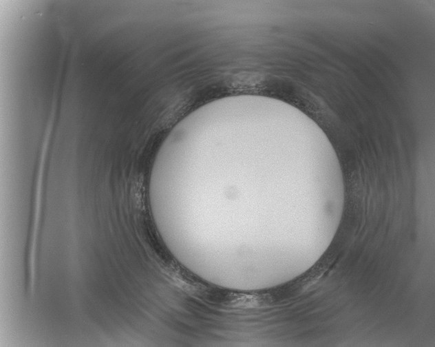 X0000058760083200510281929