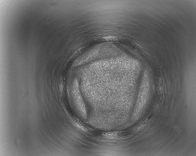 X0000058760084200510281929