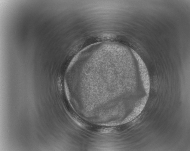 X0000058760086200510281929