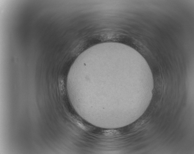 X0000058760087200510281929