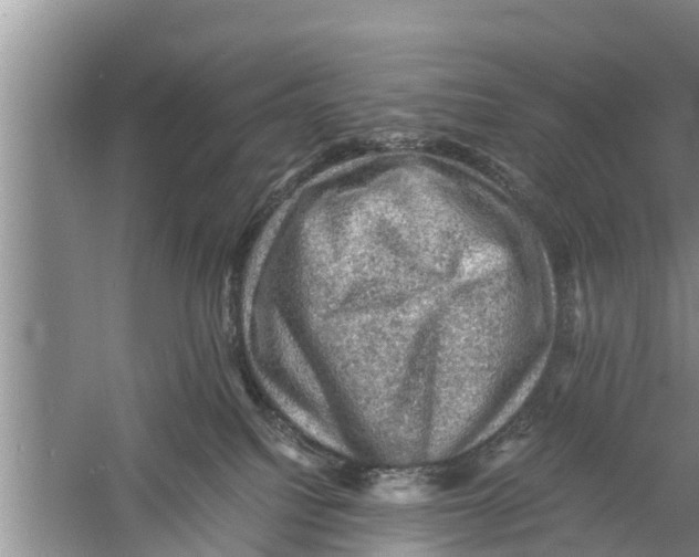 X0000058760088200510281929