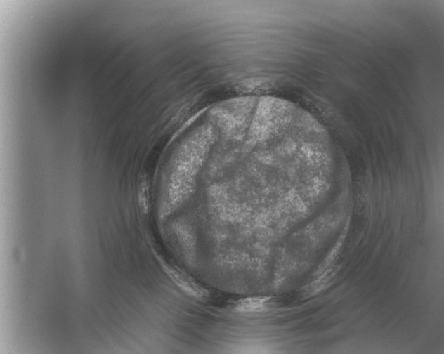 X0000058760090200510281929