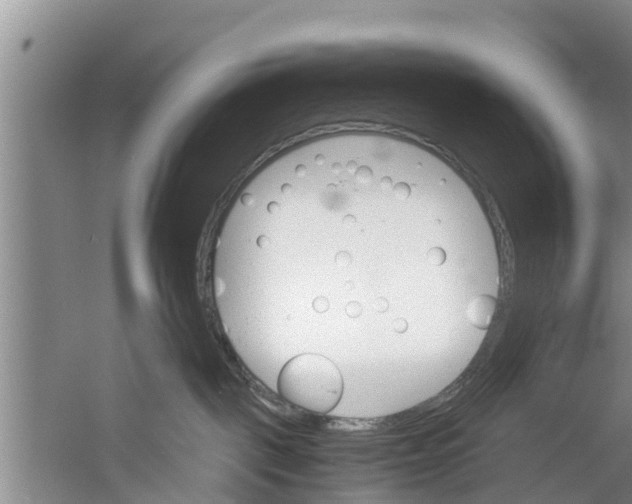 X0000058760093200510281929