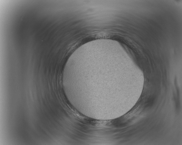 X0000058760096200510281929