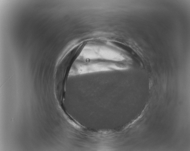 X0000058760101200510281928