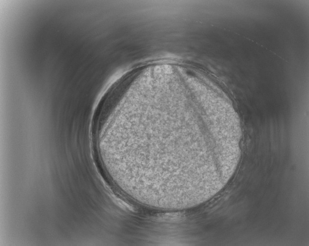 X0000058760102200510281928