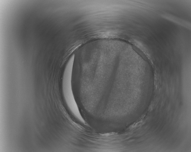 X0000058760105200510281928