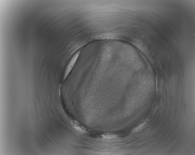 X0000058760109200510281928