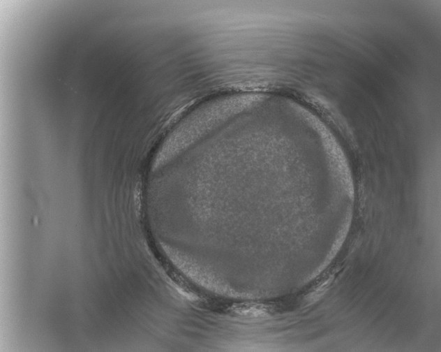 X0000058760113200510281928