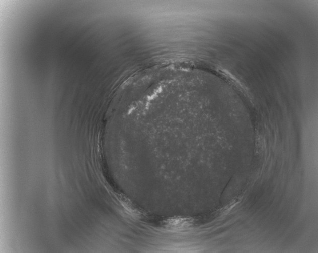 X0000058760117200510281928