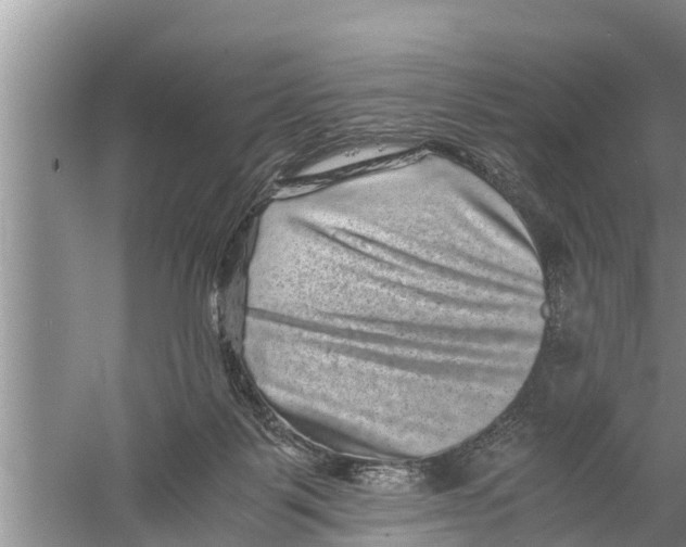 X0000058760123200510281928