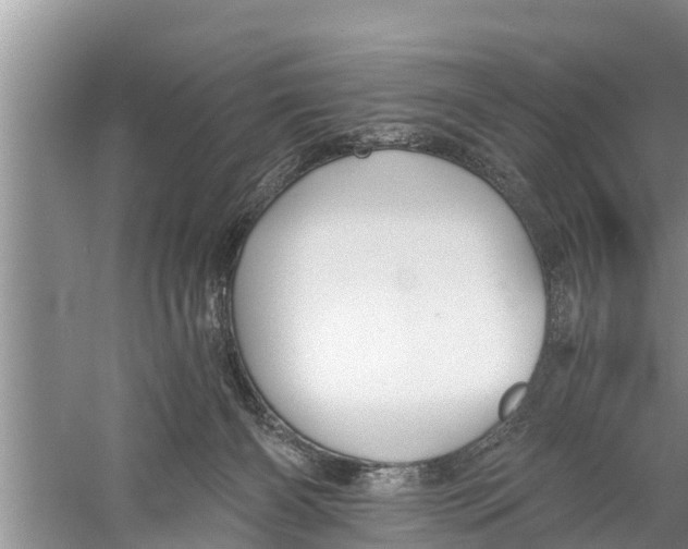 X0000058760126200510281928