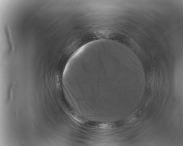 X0000058760130200510281928