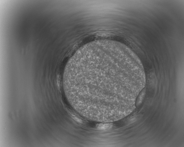 X0000058760135200510281928