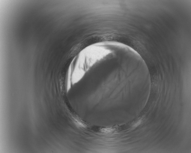 X0000058760139200510281928