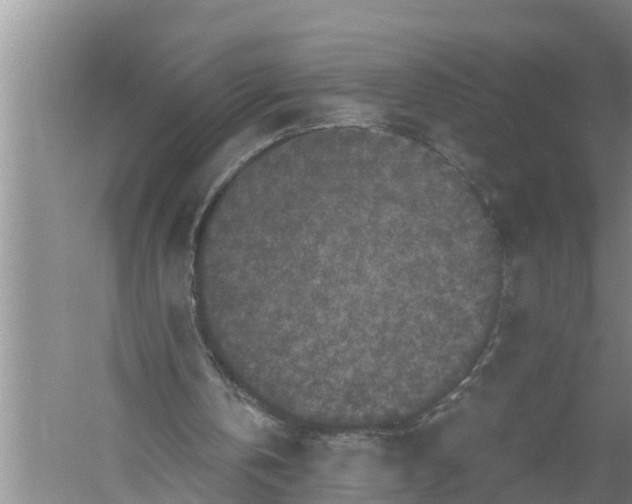 X0000058760146200510281927