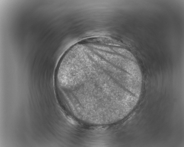 X0000058760148200510281927