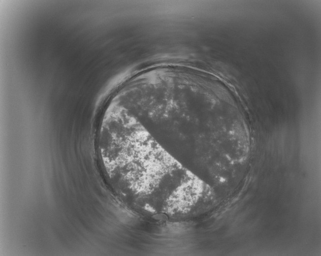 X0000058760149200510281927