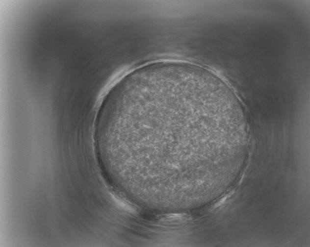 X0000058760151200510281927