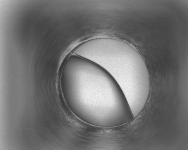 X0000058760152200510281927