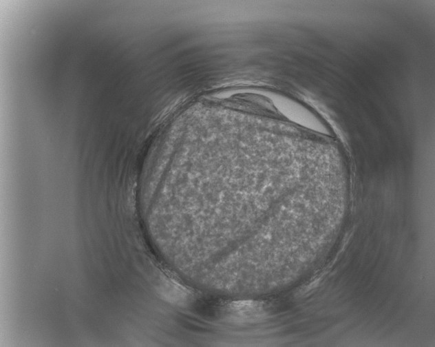 X0000058760153200510281927