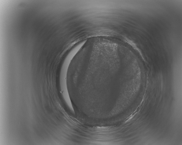 X0000058760154200510281927