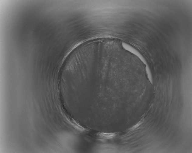 X0000058760156200510281927