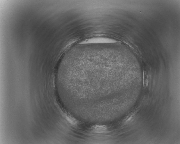 X0000058760157200510281927