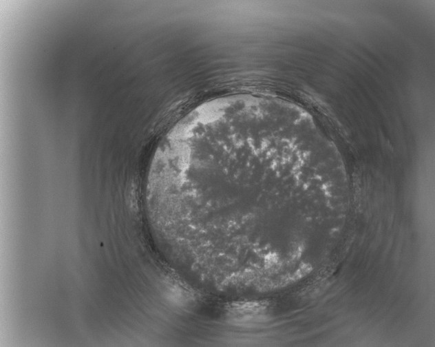 X0000058760161200510281927