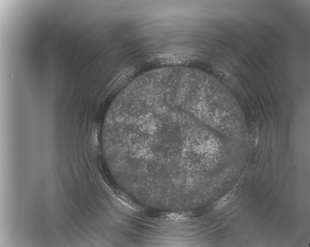 X0000058760166200510281927