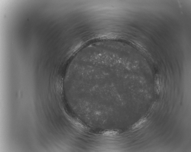 X0000058760168200510281927