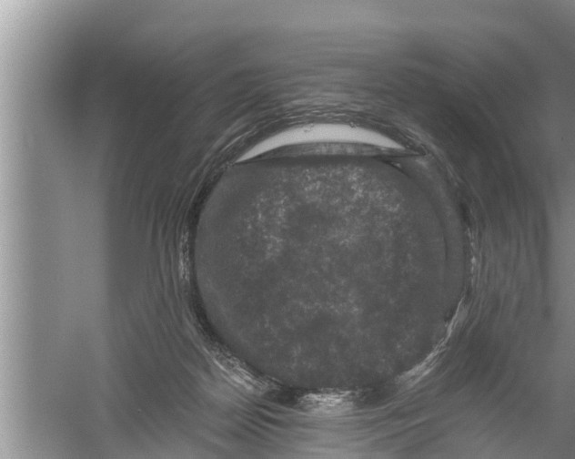 X0000058760170200510281927