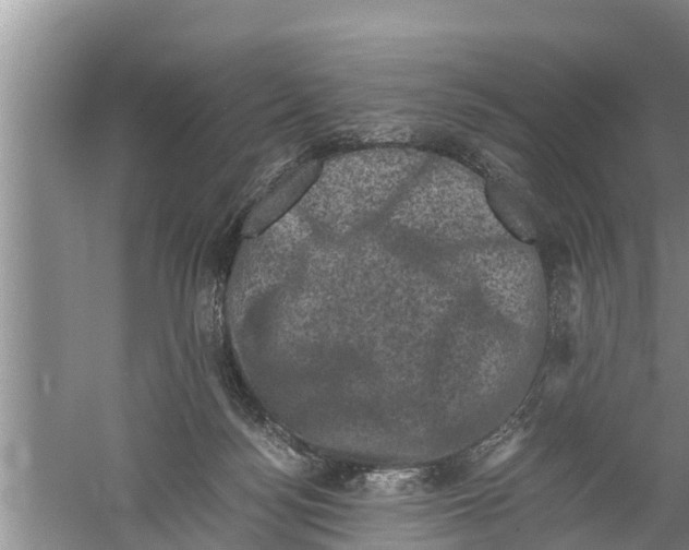 X0000058760172200510281927