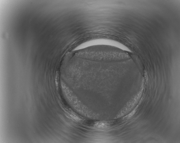 X0000058760174200510281927