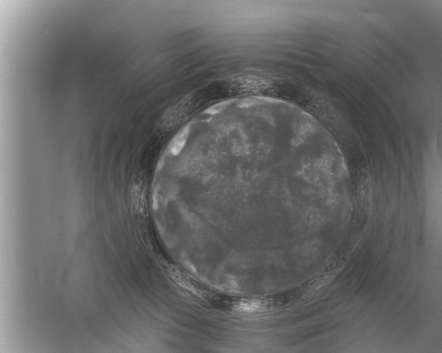 X0000058760177200510281927