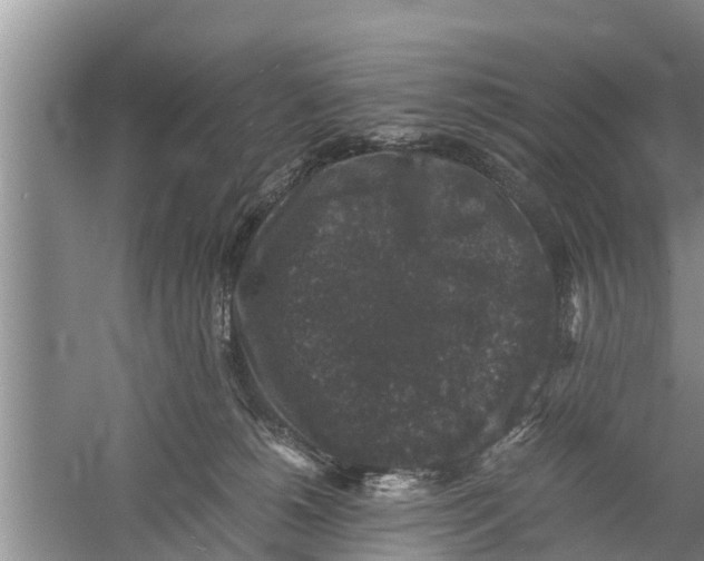 X0000058760180200510281927